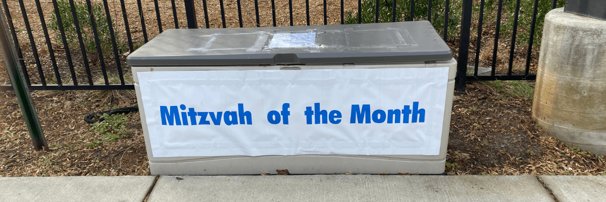 Mitzvah Boxes